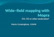 Wide–field mapping with Mopra