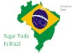 Sugar Trade In Brazil