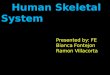 The    Human Skeletal System