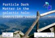 Particle Dark Matter in the galactic halo: DAMA/LIBRA results