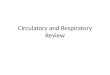 Circulatory and Respiratory Review