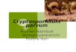 Cryptosporidium  parvum