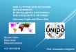 SME CLUSTER AND NETWORK DEVELOPMENT IN DEVELOPING COUNTRIES: THE EXPERIENCE OF  UNlDO
