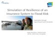Simulation of Resilience of an Insurance System to Flood Risk