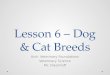 Lesson 6 – Dog & Cat Breeds