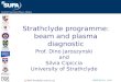 Strathclyde programme: beam and plasma diagnostic