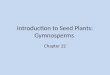 Introduction to Seed Plants: Gymnosperms