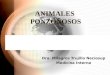 ANIMALES  PONZOÑOSOS