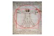 The  Vitruvian Man Leonardo  da  Vinci