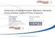 Detection of Metamorphic Malware Variants Using Global Control Flow Analysis