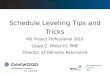 Schedule Leveling Tips and Tricks MS Project Professional 2010