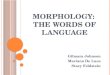 Morphology:  The Words of  LAnguage