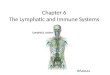 Chapter 6 The Lymphatic and Immune Systems
