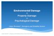 Environmental Damage = Property Damage + Psychological Damage