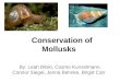 Conservation of Mollusks