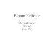 Bloom Helicase