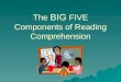 The  BIG  FIVE Components of Reading Comprehension