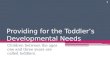 Providing for the Toddler’s Developmental Needs