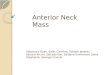 Anterior Neck Mass