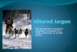 Iditarod Jargon
