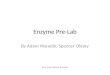 Enzyme Pre-Lab