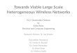 Towards Viable Large Scale Heterogeneous Wireless Networks