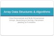 Array Data Structures & Algorithms