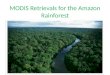 MODIS Retrievals for the Amazon Rainforest