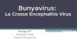 Bunyavirus: La Crosse Encephalitis Virus