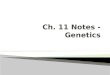Ch. 11 Notes - Genetics