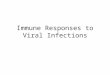 Immune Responses to Viral Infections