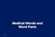 Medical Words and Word Parts