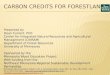 Carbon Credits for Forestland