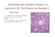 Lecture #  15:  The Endocrine System 2
