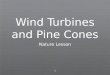 Wind Turbines and Pine Cones