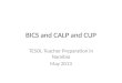BICS and CALP and CUP