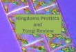 Kingdoms  Protista and  Fungi Review