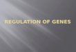 Regulation of genes