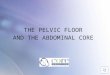 THE PELVIC FLOOR  AND THE ABDOMINAL CORE