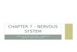 Chapter 7 – Nervous system