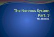 The Nervous System Part: 3