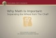 Why Math Is Important: Separating the Wheat from The Chaff