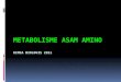 Metabolisme asam amino Kimia Biologis 2011