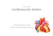 Physiology Cardiovascular System