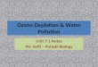 Ozone Depletion & Water Pollution