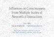 Influences on Consciousness  F rom Multiple  S cales of Neocortical Interactions