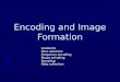 Encoding and Image Formation