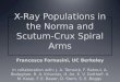 X-Ray Populations in the Norma and  Scutum -Crux Spiral Arms