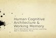 Human Cognitive Architecture & Working Memory