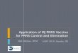 Application of MJ PRRS Vaccine for PRRS Control and Elimination